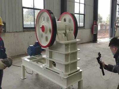 diff bm flaker and double roller crusher .